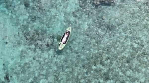 サンゴ礁の上でSUPに寝転ぶゲスト（空撮）